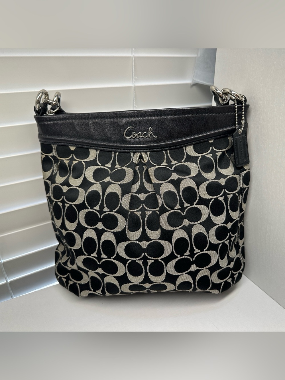 Coach Ashley Signature Hippie Shoulder Bag